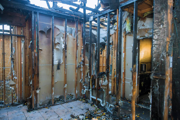 Professional Fire Damage Removal technician working in Wilder, ID